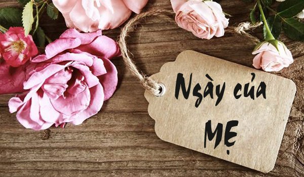 hoa mừng ngày của mẹ đẹp nhất hoa mừng ngày của mẹ đẹp nhất